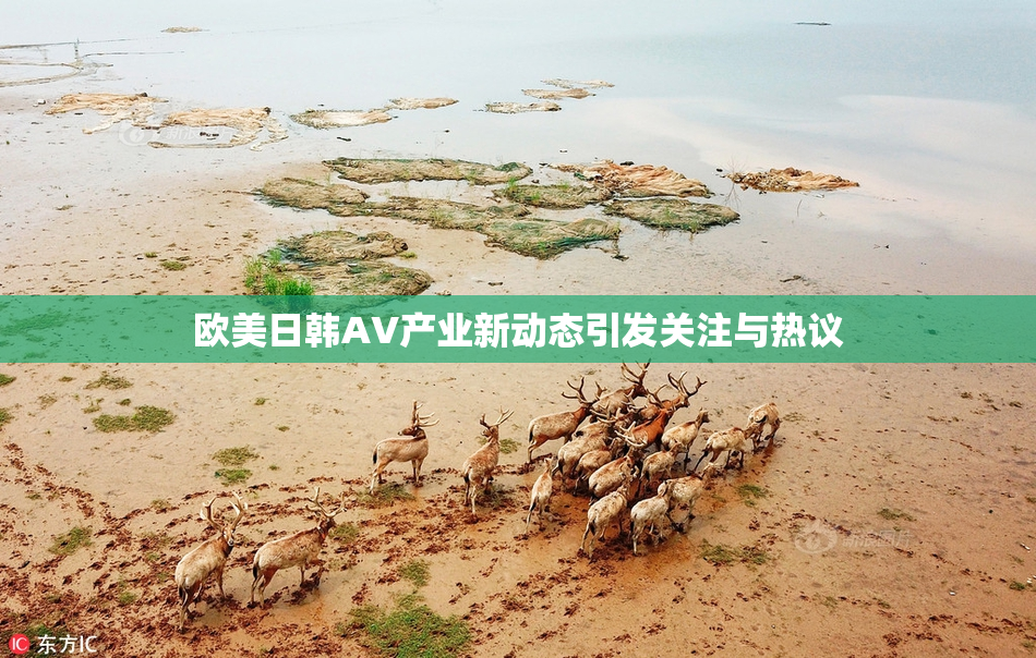 欧美日韩AV产业新动态引发关注与热议