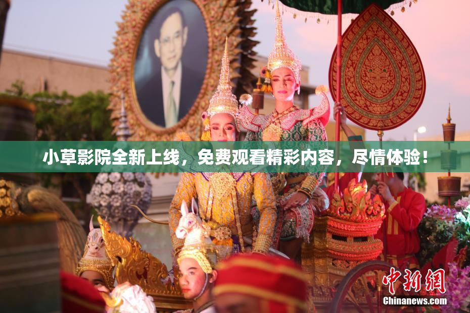 小草影院全新上线，免费观看精彩内容，尽情体验！