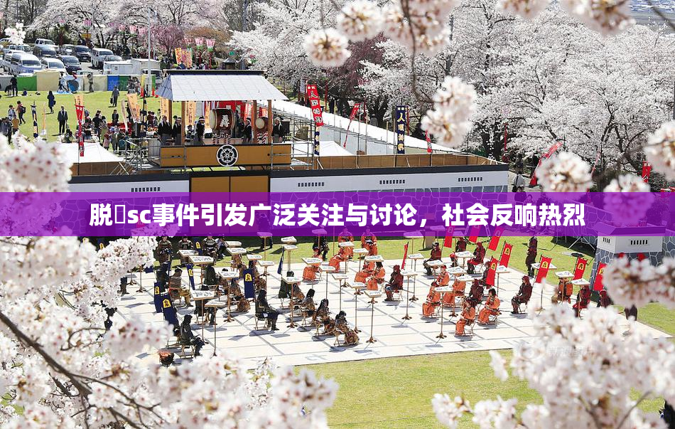 脱糞sc事件引发广泛关注与讨论，社会反响热烈