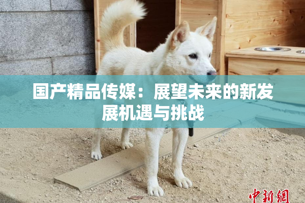 国产精品传媒：展望未来的新发展机遇与挑战