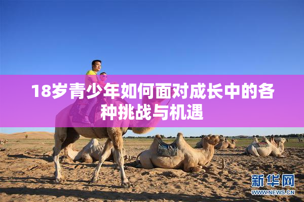 18岁青少年如何面对成长中的各种挑战与机遇