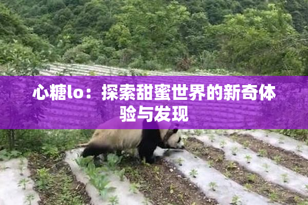 心糖lo：探索甜蜜世界的新奇体验与发现