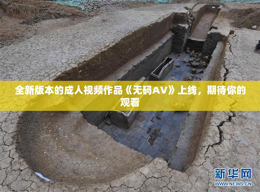 全新版本的成人视频作品《无码AV》上线，期待你的观看