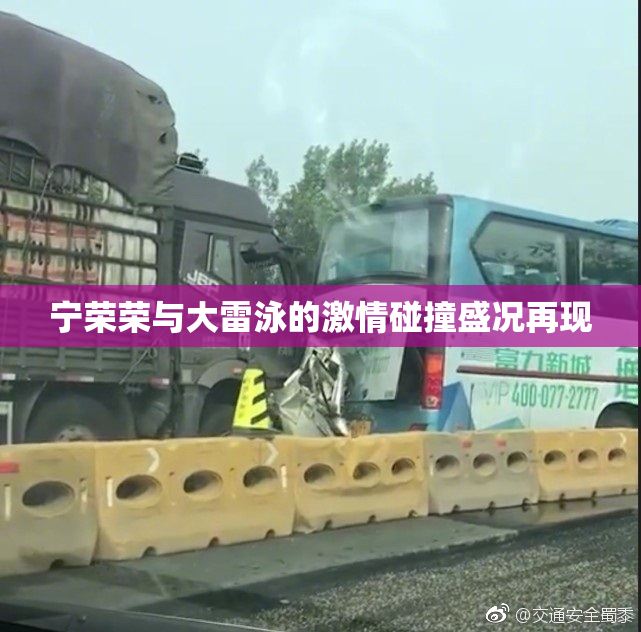宁荣荣与大雷泳的激情碰撞盛况再现