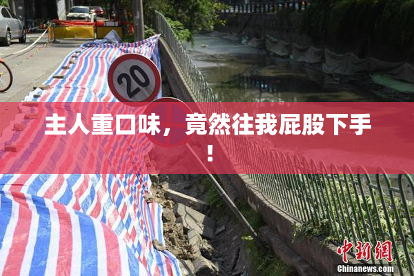 主人重口味，竟然往我屁股下手！