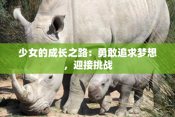 少女的成长之路：勇敢追求梦想，迎接挑战