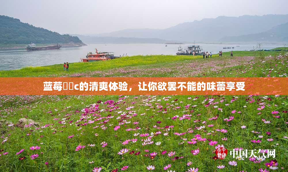 蓝莓❌‌c的清爽体验，让你欲罢不能的味蕾享受