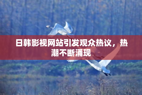 日韩影视网站引发观众热议，热潮不断涌现