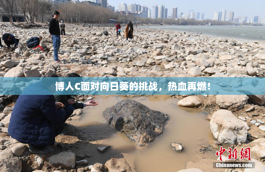 博人C面对向日葵的挑战，热血再燃！