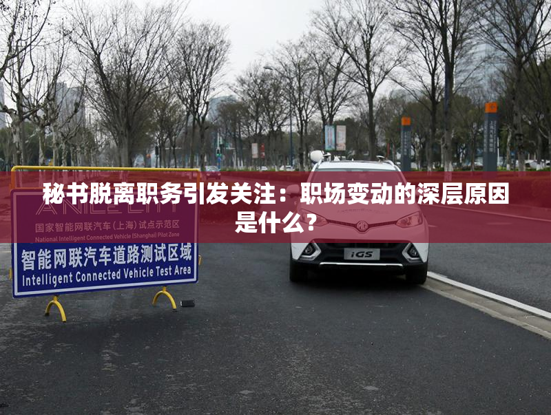 秘书脱离职务引发关注：职场变动的深层原因是什么？