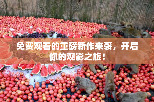 免费观看的重磅新作来袭，开启你的观影之旅！