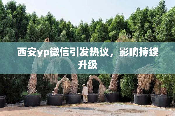 西安yp微信引发热议，影响持续升级