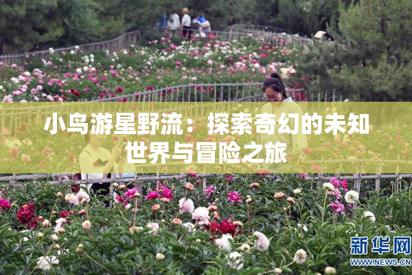 小鸟游星野流：探索奇幻的未知世界与冒险之旅