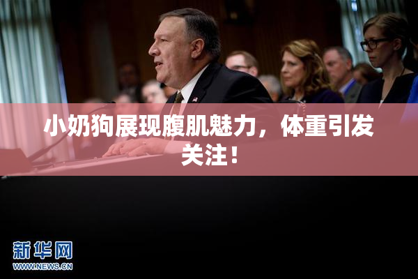 小奶狗展现腹肌魅力，体重引发关注！