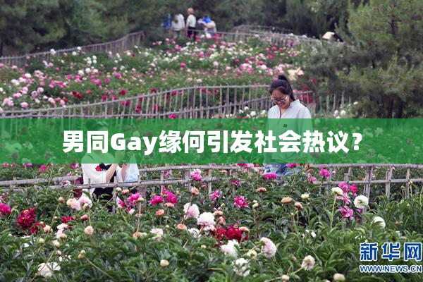 男同Gay缘何引发社会热议？