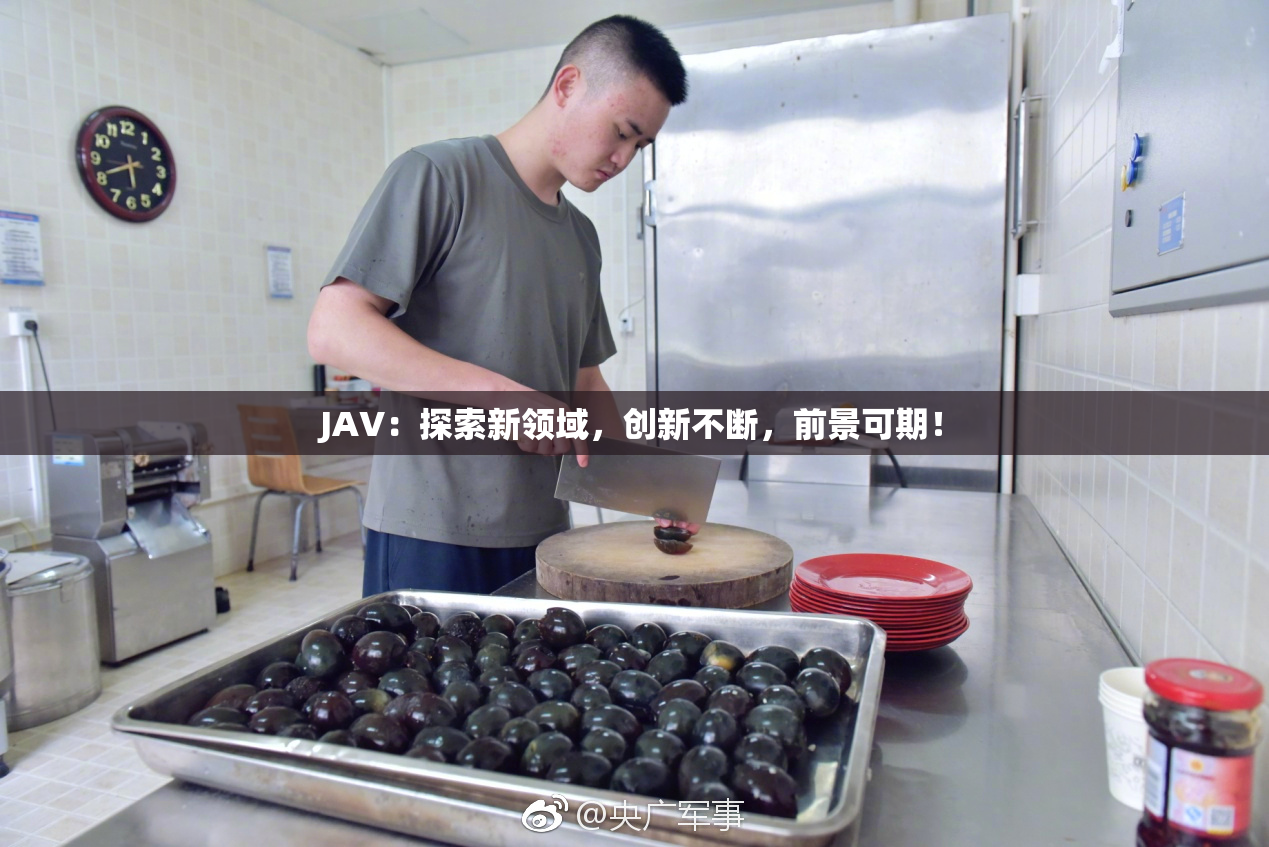 JAV：探索新领域，创新不断，前景可期！