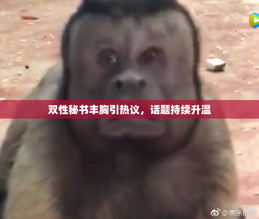 双性秘书丰胸引热议，话题持续升温