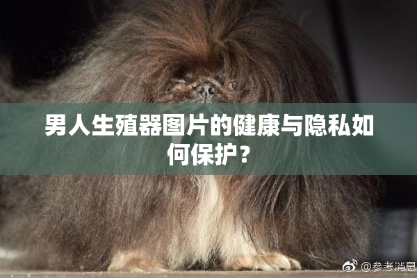 男人生殖器图片的健康与隐私如何保护？