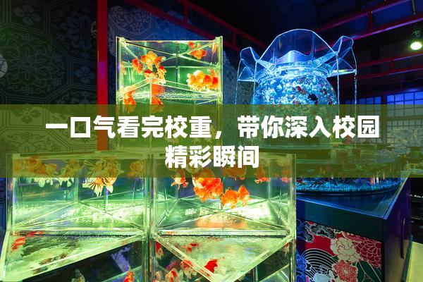 一口气看完校重，带你深入校园精彩瞬间