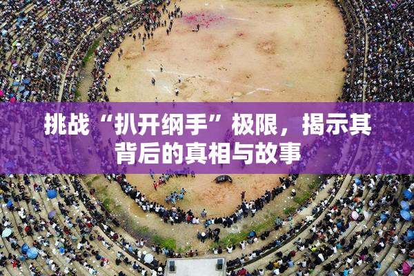 挑战“扒开纲手”极限，揭示其背后的真相与故事