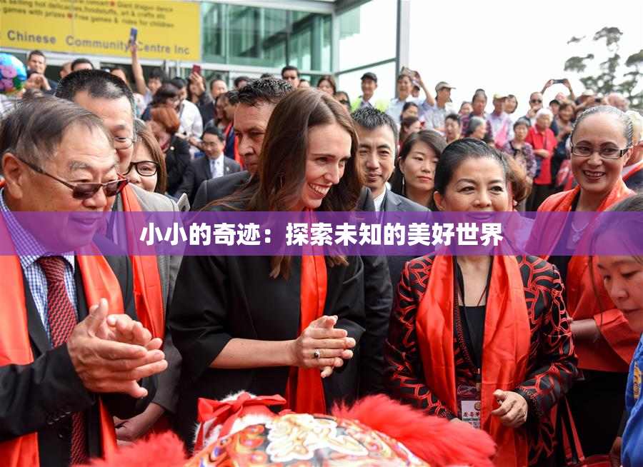 小小的奇迹：探索未知的美好世界