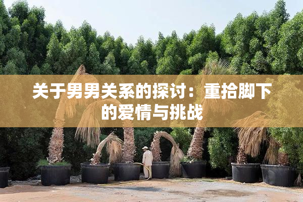 关于男男关系的探讨：重拾脚下的爱情与挑战