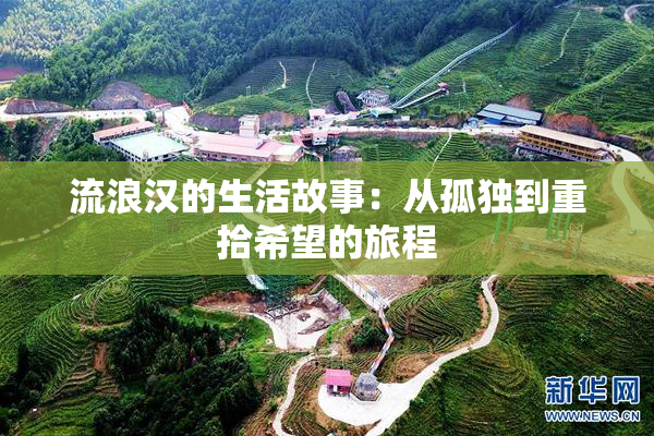 流浪汉的生活故事：从孤独到重拾希望的旅程