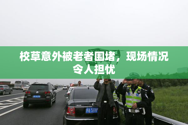 校草意外被老者围堵，现场情况令人担忧