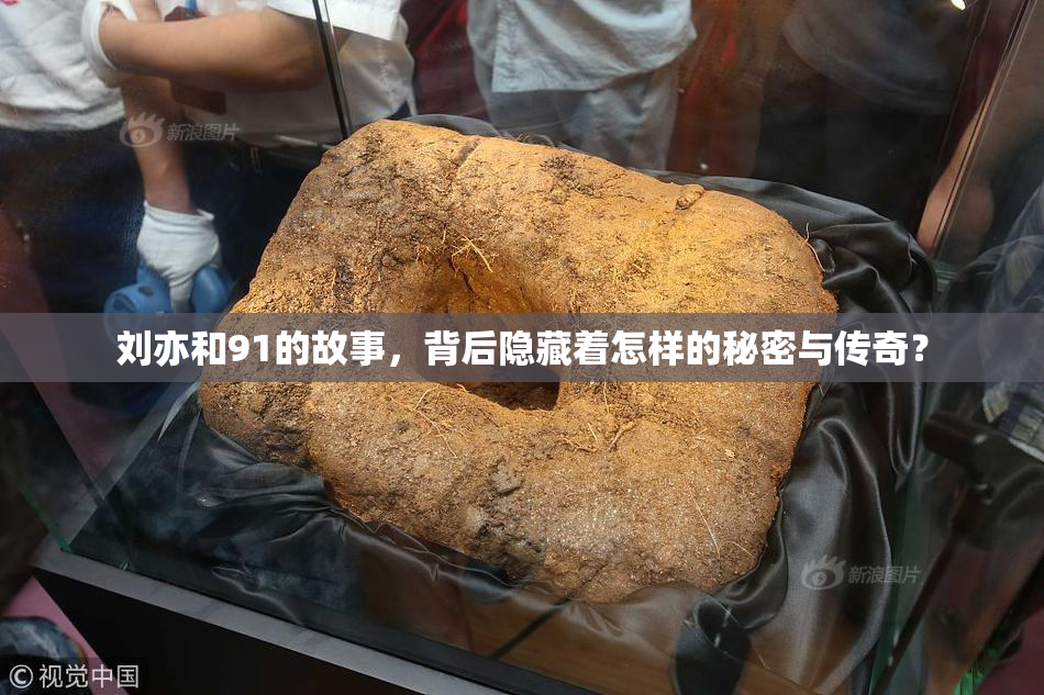 刘亦和91的故事，背后隐藏着怎样的秘密与传奇？