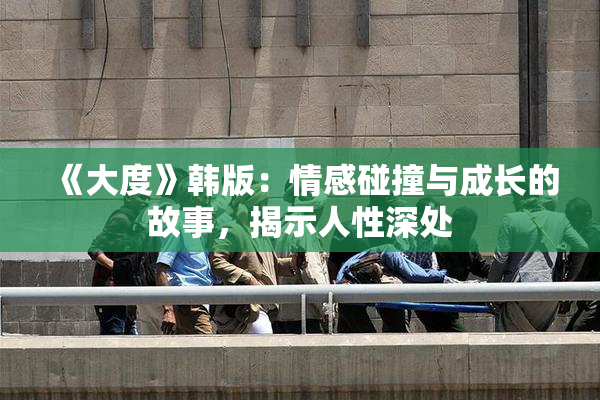 《大度》韩版：情感碰撞与成长的故事，揭示人性深处