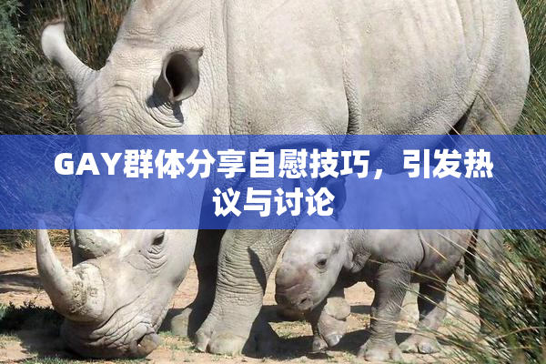 GAY群体分享自慰技巧，引发热议与讨论