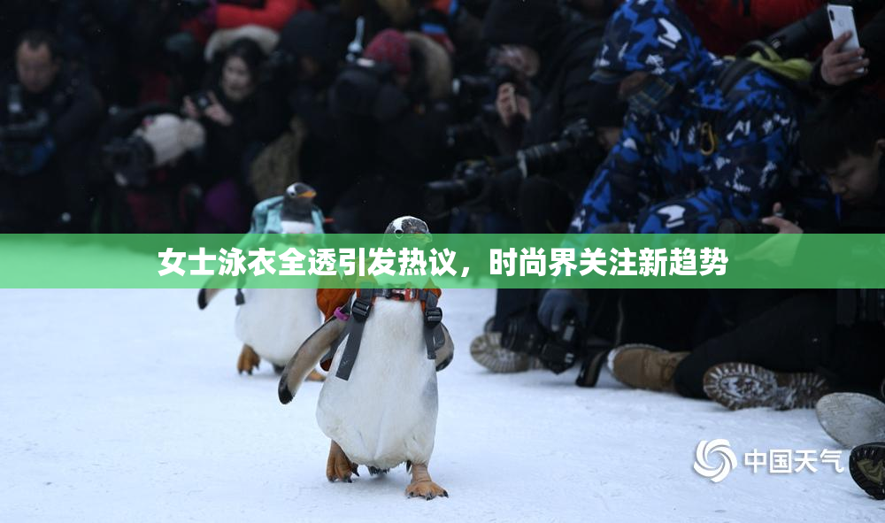 女士泳衣全透引发热议，时尚界关注新趋势
