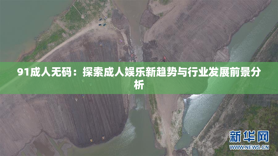 91成人无码：探索成人娱乐新趋势与行业发展前景分析