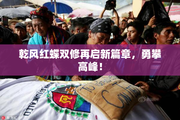 乾风红蝶双修再启新篇章，勇攀高峰！
