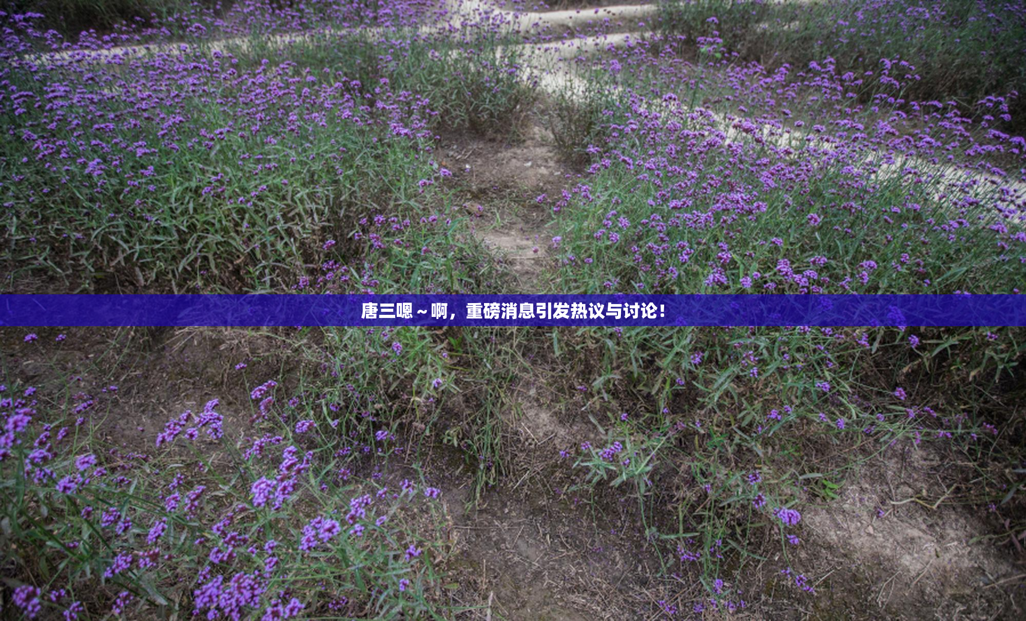 唐三嗯～啊，重磅消息引发热议与讨论！