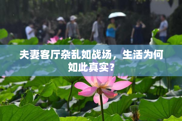 夫妻客厅杂乱如战场，生活为何如此真实？