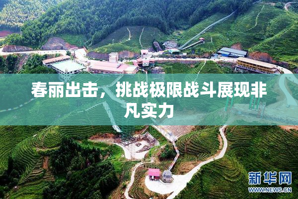 春丽出击，挑战极限战斗展现非凡实力