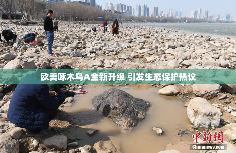 欧美啄木乌A全新升级 引发生态保护热议