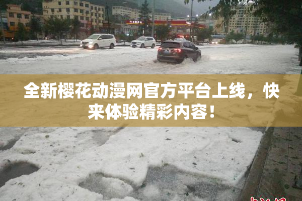 全新樱花动漫网官方平台上线，快来体验精彩内容！