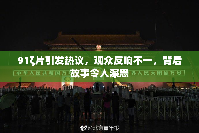 91ζ片引发热议，观众反响不一，背后故事令人深思