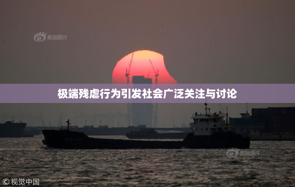 极端残虐行为引发社会广泛关注与讨论