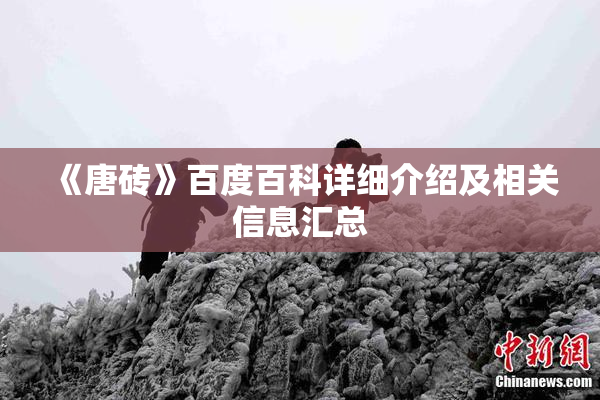 《唐砖》百度百科详细介绍及相关信息汇总