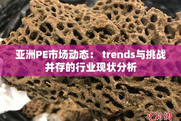 亚洲PE市场动态： trends与挑战并存的行业现状分析