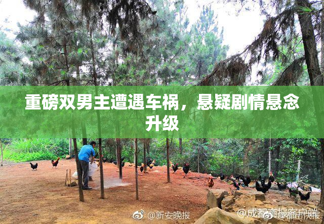 重磅双男主遭遇车祸，悬疑剧情悬念升级