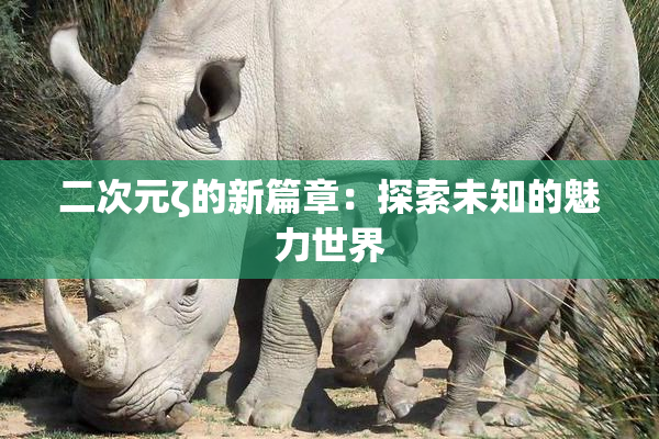二次元ζ的新篇章：探索未知的魅力世界