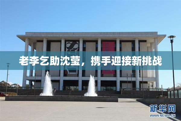 老李乞助沈莹，携手迎接新挑战