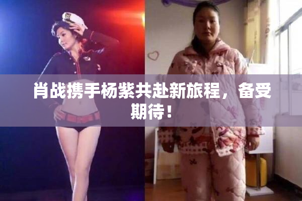 肖战携手杨紫共赴新旅程，备受期待！