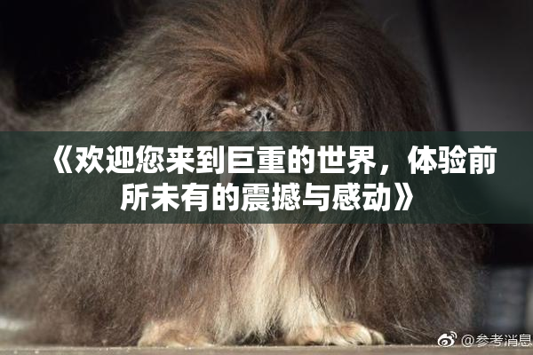 《欢迎您来到巨重的世界，体验前所未有的震撼与感动》