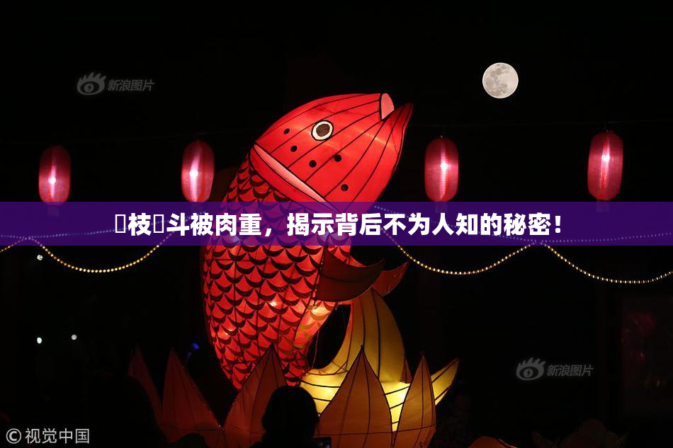 狛枝凪斗被肉重，揭示背后不为人知的秘密！