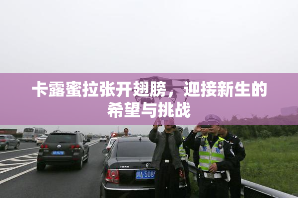 卡露蜜拉张开翅膀，迎接新生的希望与挑战